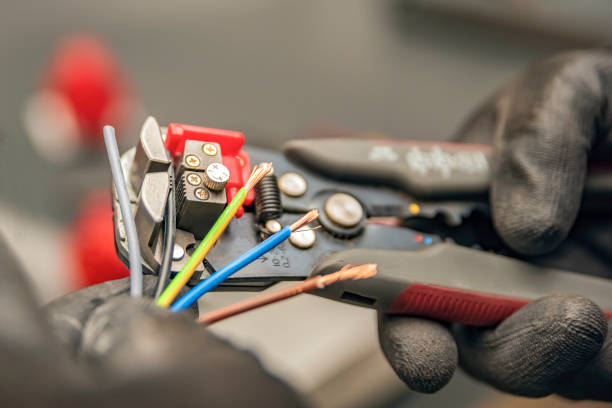 Best Electric Panel Repair  in Charles City, IA