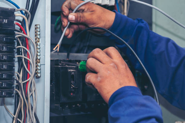 Best Generator Installation Services  in Charles City, IA